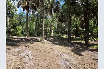 4876 Rambling River Road, Brandon, FL 33511 - Photo 7