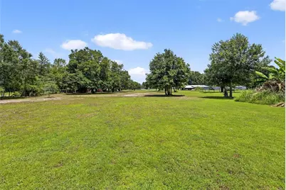 205 Wendel Avenue, Lithia, FL 33547 - Photo 5