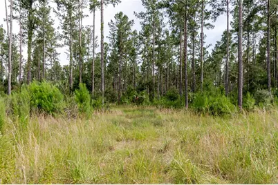 Ne 90th Street Road, Fort Mc Coy, FL 32134 - Photo 23