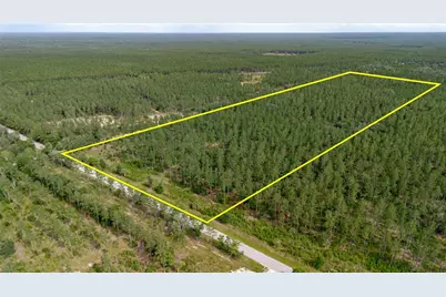 Ne 90th Street Road, Fort Mc Coy, FL 32134 - Photo 3