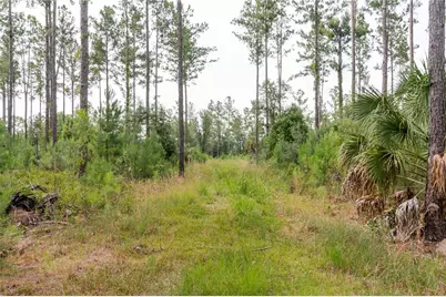Ne 90th Street Road, Fort Mc Coy, FL 32134 - Photo 17