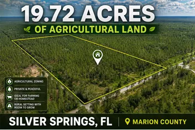 Ne 90th Street Road, Fort Mc Coy, FL 32134 - Photo 1