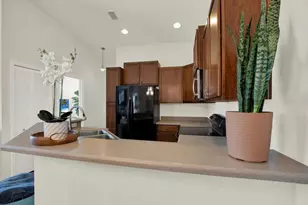 8919 Moonlit Meadows Loop, Riverview, FL 33578 - Photo 11