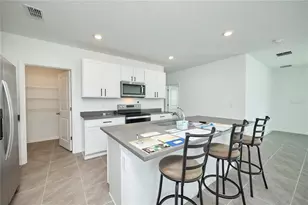 33405 Darley Dl Trl, Wesley Chapel, FL 33545 - Photo 19
