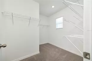 33405 Darley Dl Trl, Wesley Chapel, FL 33545 - Photo 43