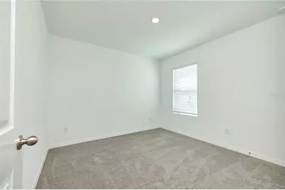 33405 Darley Dale Trl, Wesley Chapel, FL 33545 - Photo 49