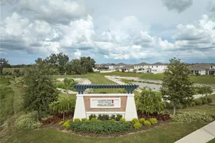 33405 Darley Dl Trl, Wesley Chapel, FL 33545 - Photo 67
