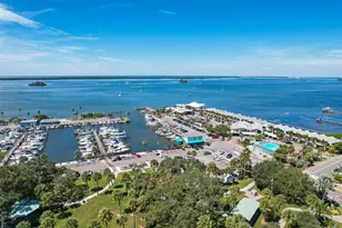 1564 Colony Ct, Palm Harbor, FL 34683 - Photo 53