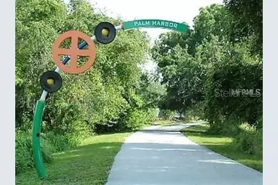 1564 Colony Court, Palm Harbor, FL 34683 - Photo 55