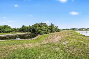 11453 Stone Pine St, Riverview, FL 33569 - Photo 29