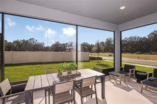 10057 Trellis Vine Wy, Parrish, FL 34219 - Photo 23