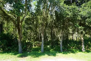 19131 Cypress Reach Ln, Tampa, FL 33647 - Photo 49