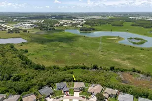 1839 Pink Guara Ct, Trinity, FL 34655 - Photo 67