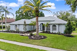 3692 Johnathon Ave, Palm Harbor, FL 34685 - Photo 65