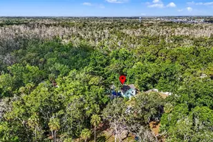 4586 S Flambeau Loop, Homosassa, FL 34448 - Photo 69