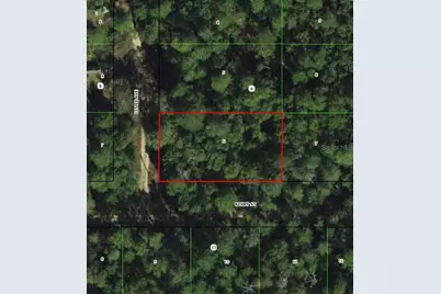 306 Little Avenue, Inverness, FL 34452 - Photo 1