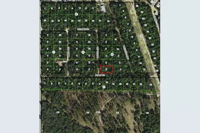 306 Little Avenue, Inverness, FL 34452 - Photo 3