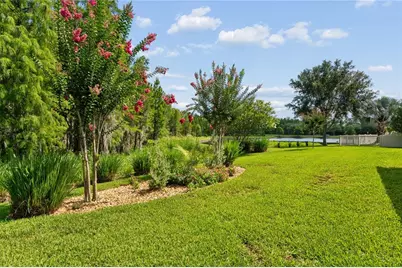 21627 Pearl Crescent Court, Land O Lakes, FL 34637 - Photo 71