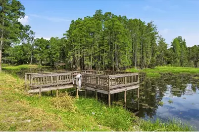 Woods End Ct, Tampa, FL 33618 - Photo 13