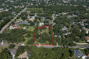 4141 Winding Willow Dr, Palm Harbor, FL 34683 - Photo 67