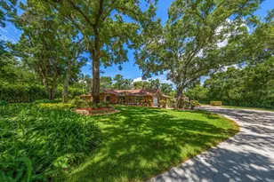 4141 Winding Willow Dr, Palm Harbor, FL 34683 - Photo 7