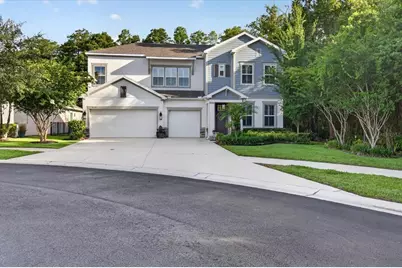 5714 Camila Song Lane, Tampa, FL 33625 - Photo 3