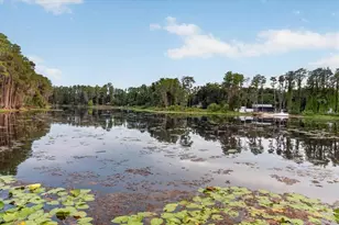 5714 Camila Song Ln, Tampa, FL 33625 - Photo 81