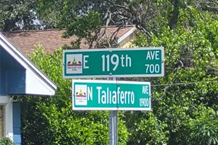 709 E 119th Ave, Tampa, FL 33612 - Photo 21