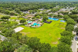 3307 Pine Top Dr, Valrico, FL 33594 - Photo 59