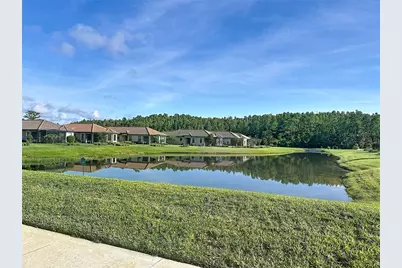 8335 Alberata Vista Drive, Tampa, FL 33647 - Photo 33