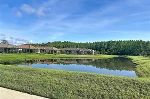 8335 Alberata Vista Dr, Tampa, FL 33647 - Photo 33
