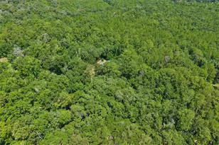 6221 Emerson Rd, Brooksville, FL 34601 - Photo 41