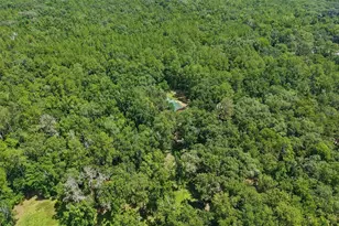 6221 Emerson Rd, Brooksville, FL 34601 - Photo 39
