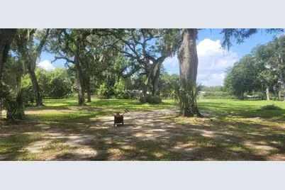 3534 Milton West Road, Dover, FL 33527 - Photo 13