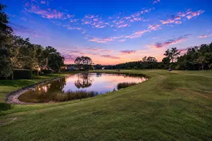 10560 Plantation Bay Dr, Tampa, FL 33647 - Photo 49