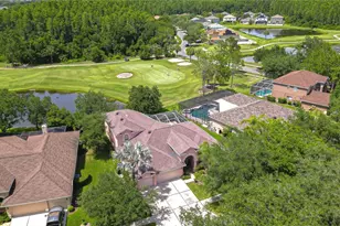 10560 Plantation Bay Dr, Tampa, FL 33647 - Photo 3