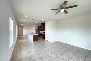 10668 Old Sycamore Loop, Land O Lakes, FL 34638 - Photo 9