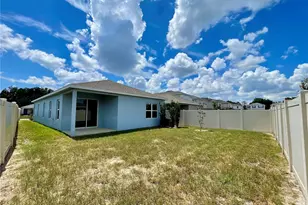 10668 Old Sycamore Loop, Land O Lakes, FL 34638 - Photo 33