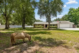19706 Angel Ln, Odessa, FL 33556 - Photo 71