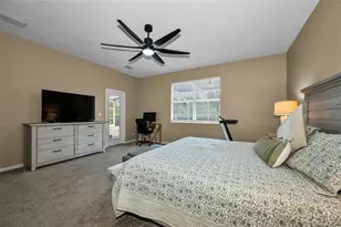 22441 Panther Run Ct, Land O Lakes, FL 34639 - Photo 23