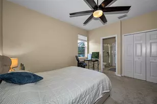 22441 Panther Run Ct, Land O Lakes, FL 34639 - Photo 33