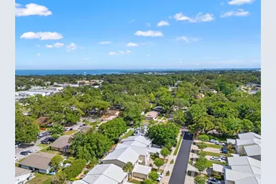 902 Woodbridge Court, Safety Harbor, FL 34695 - Photo 53