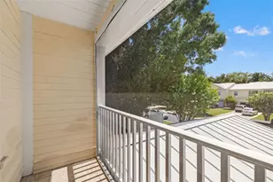 902 Woodbridge Ct, Safety Harbor, FL 34695 - Photo 37