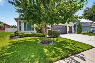 31218 Alchester, Wesley Chapel, FL 33543 - Photo 47