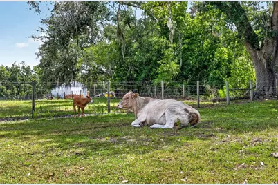 5702 Tindale Road, Plant City, FL 33565 - Photo 71