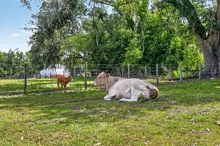 5702 Tindale Rd, Plant City, FL 33565 - Photo 71