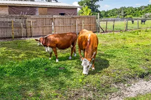 5702 Tindale Rd, Plant City, FL 33565 - Photo 69
