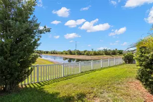 10515 Carloway Hills Dr, Wimauma, FL 33598 - Photo 23
