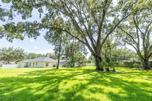 12526 River Birch Dr, Riverview, FL 33569 - Photo 13