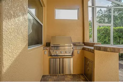 27447 Water Ash Drive, Wesley Chapel, FL 33544 - Photo 53